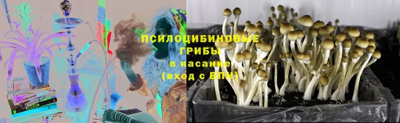 Псилоцибиновые грибы Psilocybine cubensis  купить наркотики цена  Вилюйск 